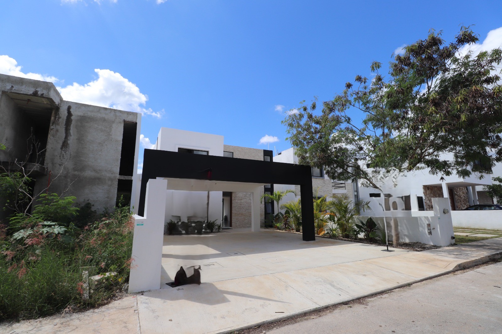 property_gallery_img_5816